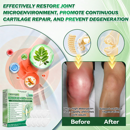 🌟 Highly Rated| Purelora® Moringa Berberine × NAD⁺ 10-in-1 Nano Microneedle Patch (Just once daily, visible changes in 7 days) ✅ Supports weight management, loose skin, diabetes care, sleep apnea, joint comfort, and more