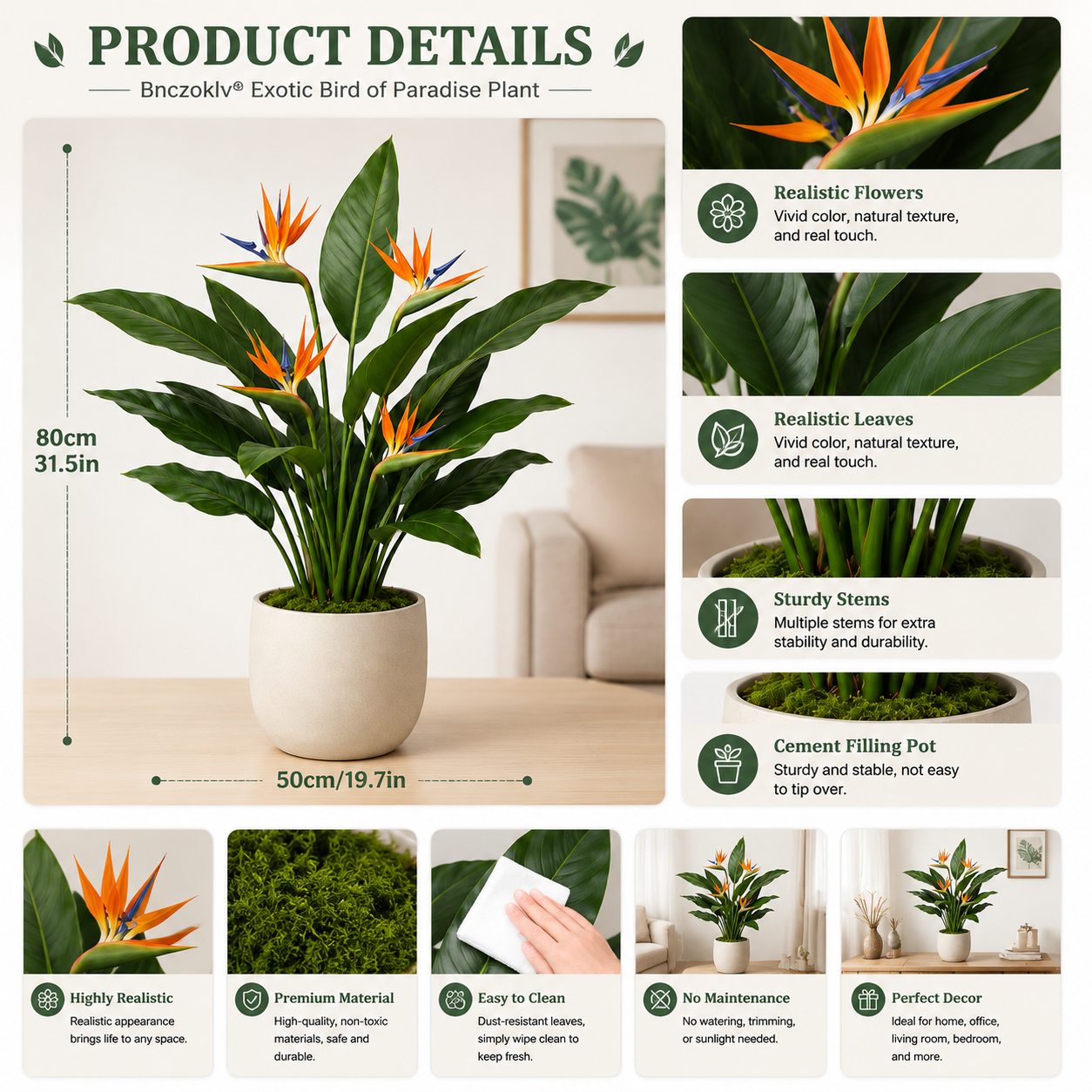 Bnczoklv® Exotic Bird of Paradise Plant
