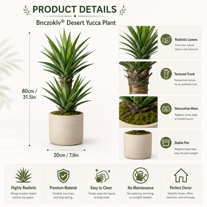 Bnczoklv® Desert Yucca Plant
