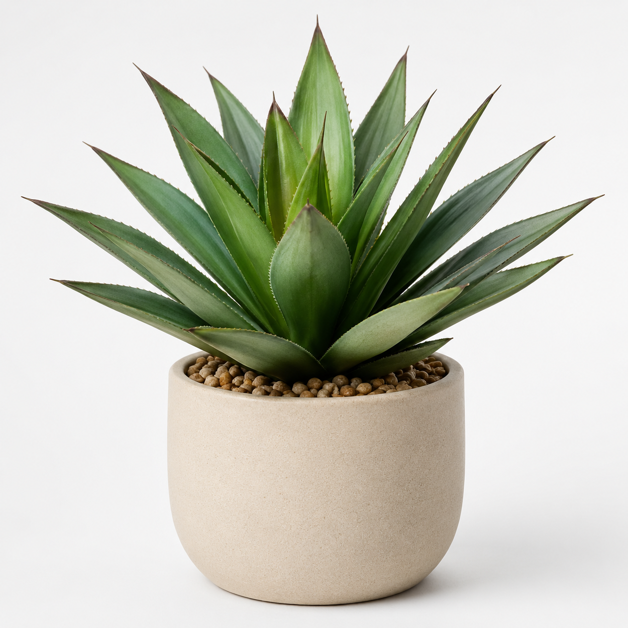 Bnczoklv® Tropical Agave Succulent