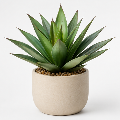 Bnczoklv® Tropical Agave Succulent