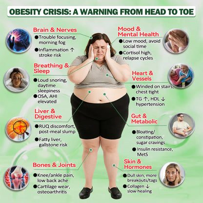 🌟 Highly Rated| Purelora® Moringa Berberine × NAD⁺ 10-in-1 Nano Microneedle Patch (Just once daily, visible changes in 7 days) ✅ Supports weight management, loose skin, diabetes care, sleep apnea, joint comfort, and more