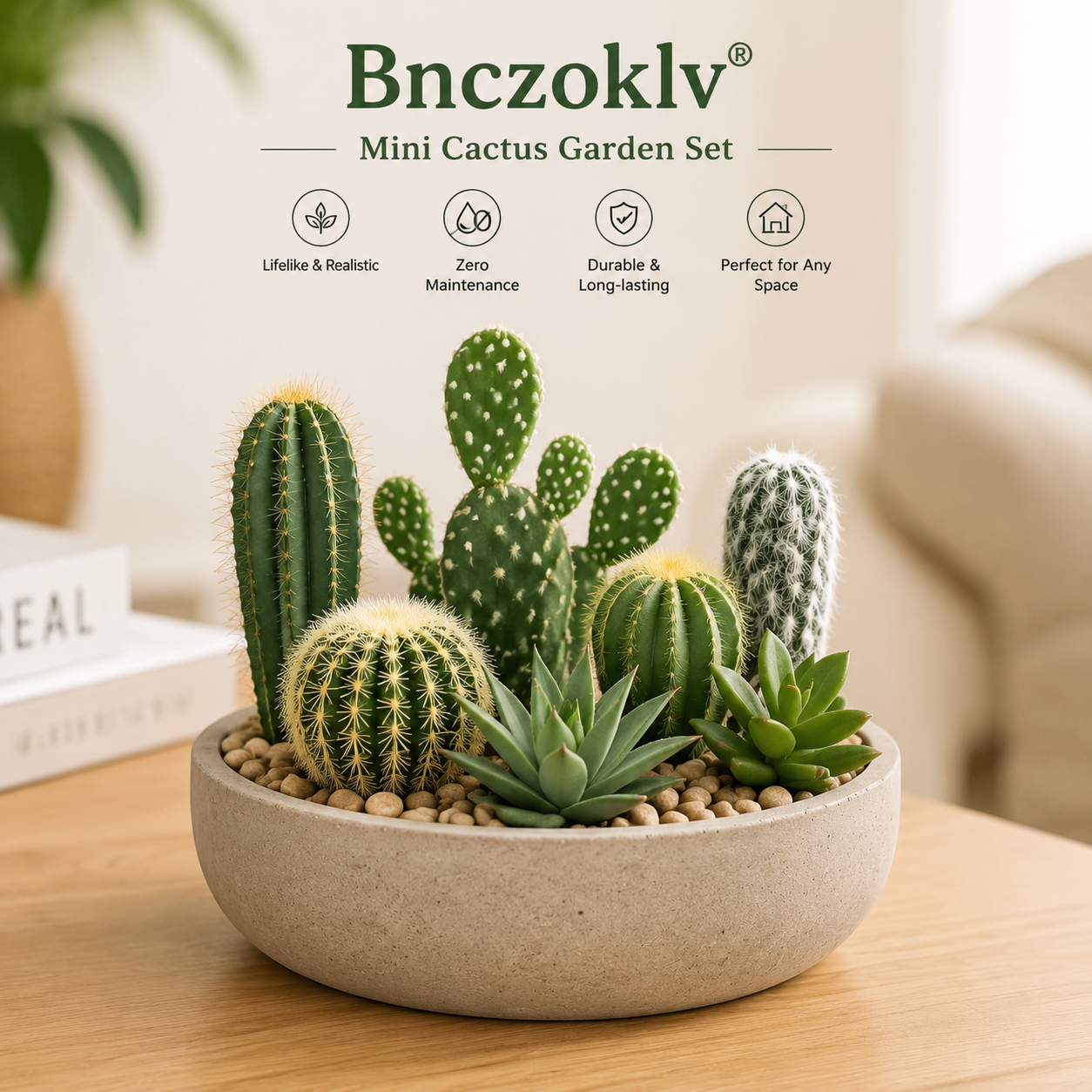 Bnczoklv® Mini Cactus Garden Set
