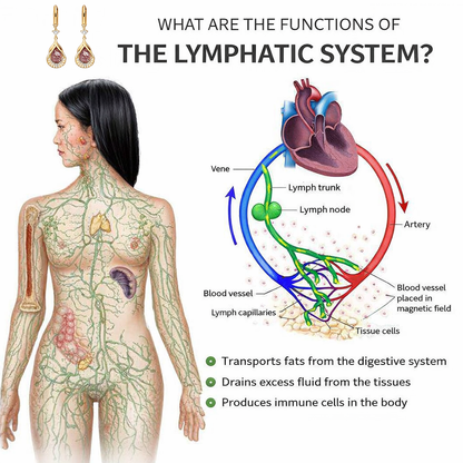 (🎉LAST DAY SALE – 80% OFF 🔥) 👩‍⚕️ CZTICLE® Lymphvity Magnet Therapy Germanium Earrings (Worn once daily, visible changes in 7 days) Supports weight loss, diabetes management, sleep apnea, and joint pain relief 🍃