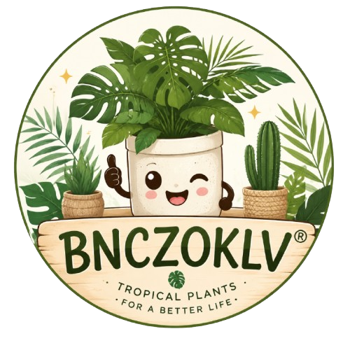 Bnczoklv